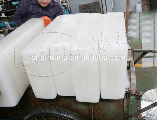 민물 10T 산업 구획 제빙기 기계 10000kg 10T/24H