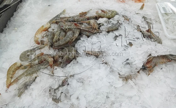 1 톤 민물 조각 제빙기 상업적인 380V 220V