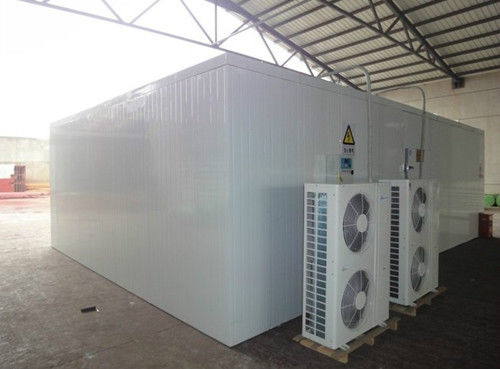 Fish Cold Room Freezer Room 워크 인 칠러 룸