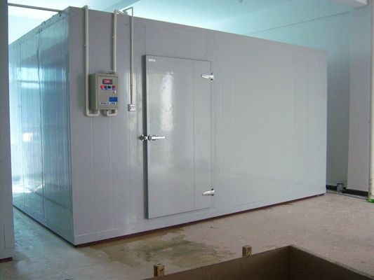 Fish Cold Room Freezer Room 워크 인 칠러 룸