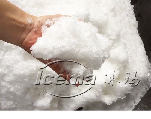 용량 9T/h 휴대용 스테인리스 스틸 ICEMA 미니 아이스 메이커 머신 신선 보관