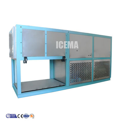 산업용 ICEMA 자동 2T 얼음 블록 기계 제조업체 다른 얼음 저장 용량